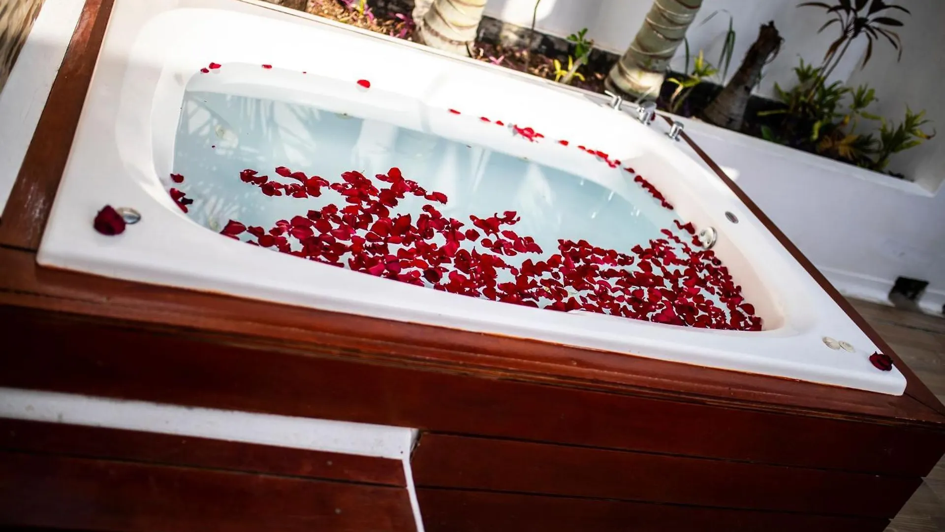 Penthouse Beach Holiday Private Jacuzzi Bbq Family Friendly Maid Service 0*, Playa del Carmen Mexiko